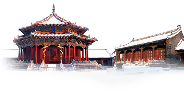 10年育苗經驗累積