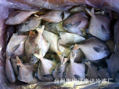 【批發(fā)供應(yīng)水產(chǎn)品粗加工 優(yōu)質(zhì)鰳魚(yú)粗加工 貨真價(jià)實(shí)】?jī)r(jià)格,廠(chǎng)家,圖片,鮮活/冷凍水產(chǎn),臺(tái)州市椒江康達(dá)冷凍廠(chǎng)-