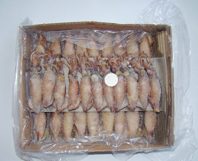 冷凍粗加工水產(chǎn)品-長(zhǎng)期供應(yīng) 冷凍粗加工水產(chǎn)品 熟凍糕魷魚(yú) 大量批發(fā)-冷凍粗加工水.