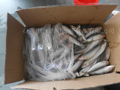 冷凍粗加工水產(chǎn)品-供應(yīng)冷凍沙丁魚(yú)-冷凍粗加工水產(chǎn)品盡在阿里巴巴-石獅市合德明海味.